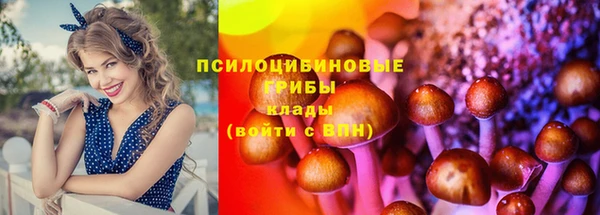 а пвп мука Богородицк