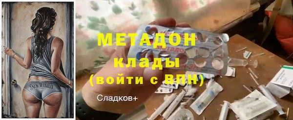 ГАЛЛЮЦИНОГЕННЫЕ ГРИБЫ Тайга