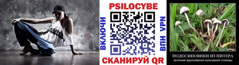 Псилоцибиновые грибы Cubensis  Михайловка 