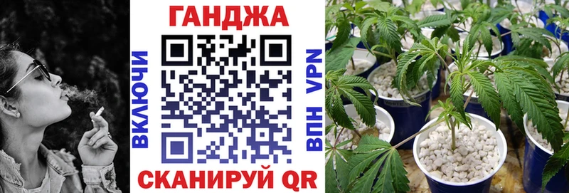 Конопля Amnesia  Михайловка 