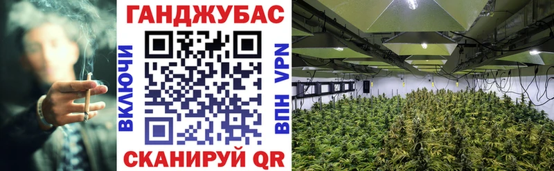 Каннабис Bruce Banner Михайловка